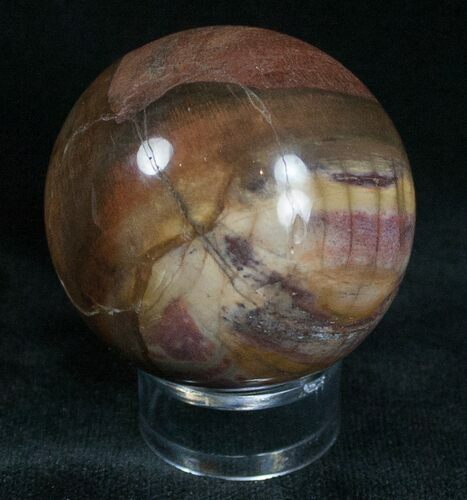 Colorful Petrified Wood Sphere #6815